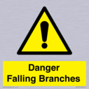 danger-falling-branches~